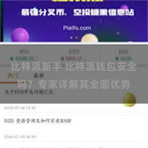 比特派新手 比特派钱包安全吗？专家详解其全面优势