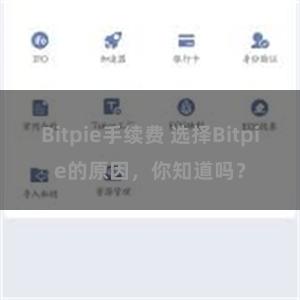 Bitpie手续费 选择Bitpie的原因，你知道吗？