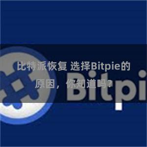 比特派恢复 选择Bitpie的原因，你知道吗？