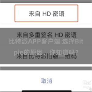 比特派APP客户端 选择Bitpie的原因，你知道吗？