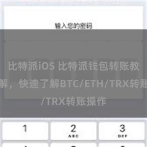比特派iOS 比特派钱包转账教程详解，快速了解BTC/ETH/TRX转账操作