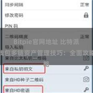 Bitpie官网地址 比特派钱包多链资产管理技巧：全面攻略