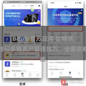 Bitpie官方应用 比特派钱包多链资产管理技巧：全面攻略