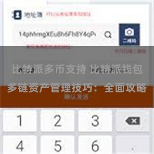 比特派多币支持 比特派钱包多链资产管理技巧：全面攻略