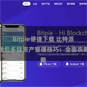 Bitpie便捷下载 比特派钱包多链资产管理技巧：全面攻略