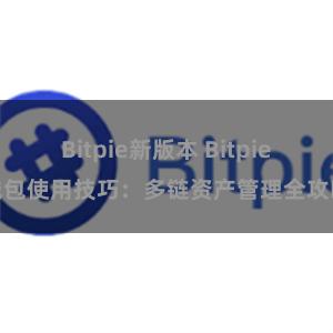 Bitpie新版本 Bitpie钱包使用技巧：多链资产管理全攻略