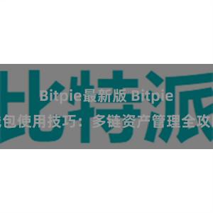 Bitpie最新版 Bitpie钱包使用技巧：多链资产管理全攻略