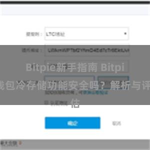 Bitpie新手指南 Bitpie钱包冷存储功能安全吗？解析与评估