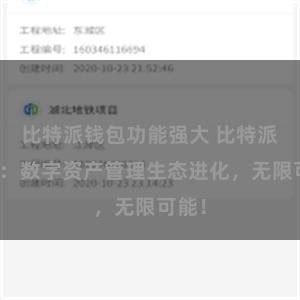 比特派钱包功能强大 比特派钱包：数字资产管理生态进化，无限可能！