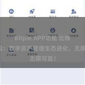 Bitpie APP功能 比特派钱包：数字资产管理生态进化，无限可能！