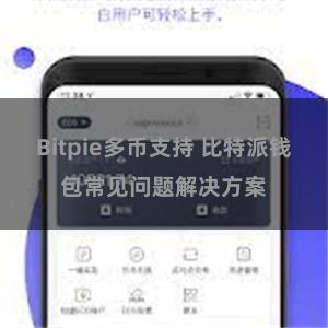Bitpie多币支持 比特派钱包常见问题解决方案