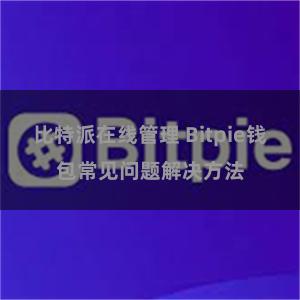 比特派在线管理 Bitpie钱包常见问题解决方法