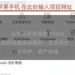 比特派安全保障 Bitpie钱包隐私保护功能深度解析：安全守护，资产保障
