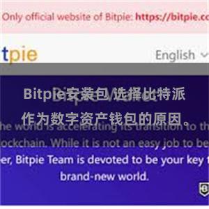Bitpie安装包 选择比特派作为数字资产钱包的原因。