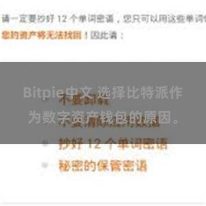Bitpie中文 选择比特派作为数字资产钱包的原因。