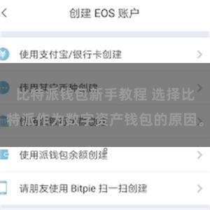 比特派钱包新手教程 选择比特派作为数字资产钱包的原因。