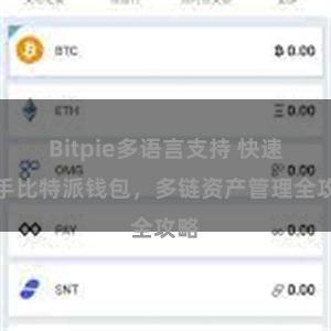 Bitpie多语言支持 快速上手比特派钱包，多链资产管理全攻略