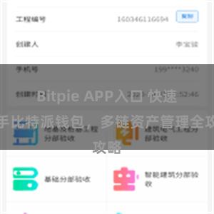 Bitpie APP入口 快速上手比特派钱包，多链资产管理全攻略