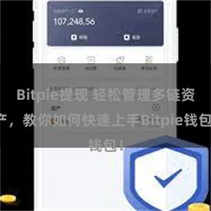 Bitpie提现 轻松管理多链资产，教你如何快速上手Bitpie钱包！