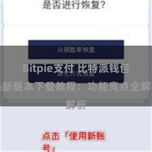 Bitpie支付 比特派钱包最新版本下载教程：功能亮点全解析