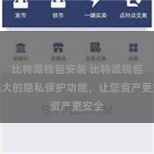 比特派钱包安装 比特派钱包：强大的隐私保护功能，让您资产更安全