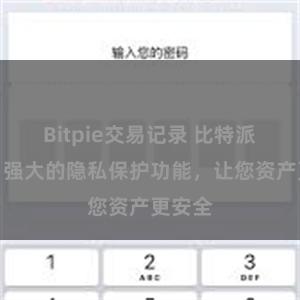 Bitpie交易记录 比特派钱包：强大的隐私保护功能，让您资产更安全