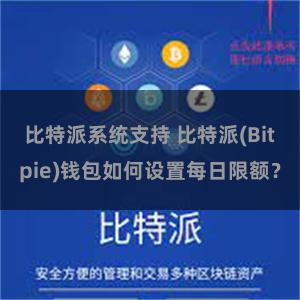 比特派系统支持 比特派(Bitpie)钱包如何设置每日限额？