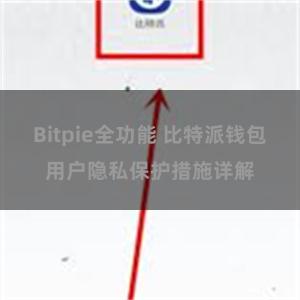 Bitpie全功能 比特派钱包用户隐私保护措施详解