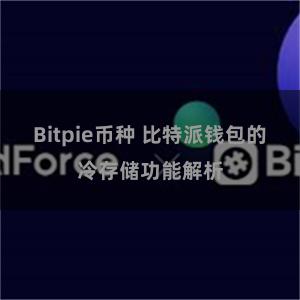 Bitpie币种 比特派钱包的冷存储功能解析