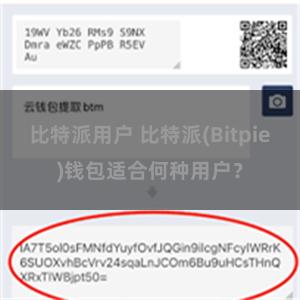 比特派用户 比特派(Bitpie)钱包适合何种用户？