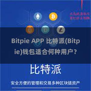 Bitpie APP 比特派(Bitpie)钱包适合何种用户？