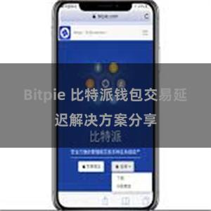 Bitpie 比特派钱包交易延迟解决方案分享