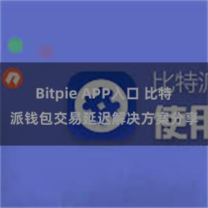 Bitpie APP入口 比特派钱包交易延迟解决方案分享