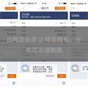 比特派资源 比特派钱包：分布式治理教程