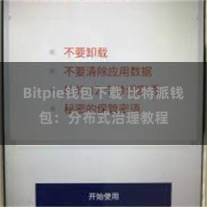 Bitpie钱包下载 比特派钱包：分布式治理教程