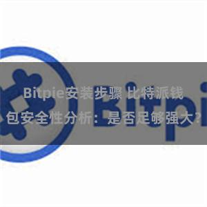 Bitpie安装步骤 比特派钱包安全性分析：是否足够强大？