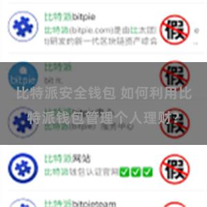比特派安全钱包 如何利用比特派钱包管理个人理财？