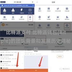 比特派支付 比特派钱包(Bitpie)的团队背景和发展历史揭秘