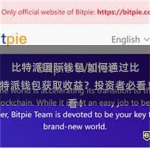 比特派国际钱包 如何通过比特派钱包获取收益？投资者必看！