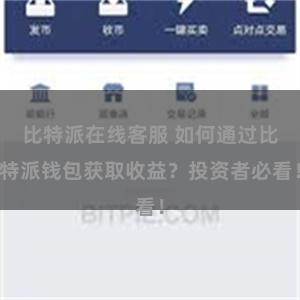 比特派在线客服 如何通过比特派钱包获取收益？投资者必看！