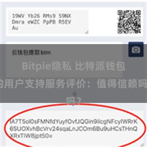 Bitpie隐私 比特派钱包的用户支持服务评价：值得信赖吗？