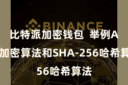比特派加密钱包  举例AES加密算法和SHA-256哈希算法