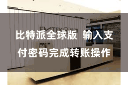 比特派全球版  输入支付密码完成转账操作