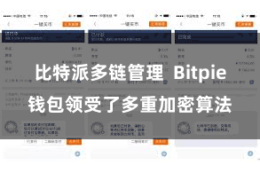 比特派多链管理  Bitpie钱包领受了多重加密算法